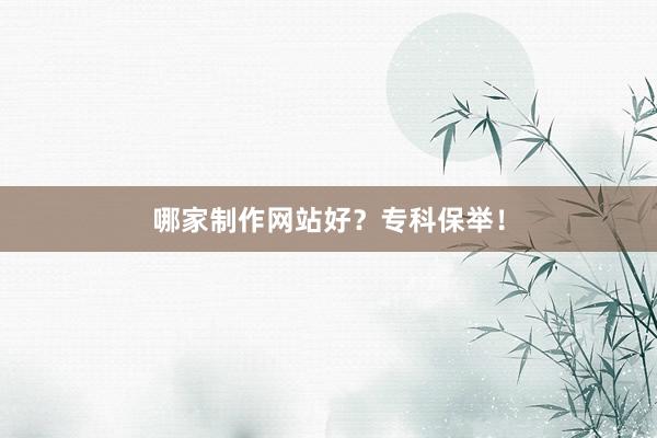 哪家制作网站好？专科保举！