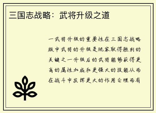 三国志战略：武将升级之道